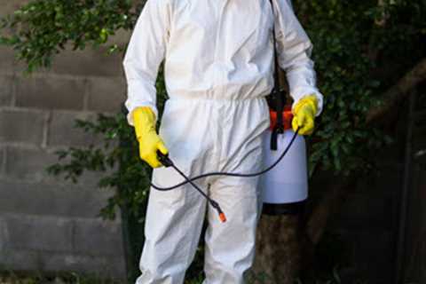 Pembroke Pines Lawn Care Specialists Seeing Increased Demand for their Lawn Pest Control Treatments