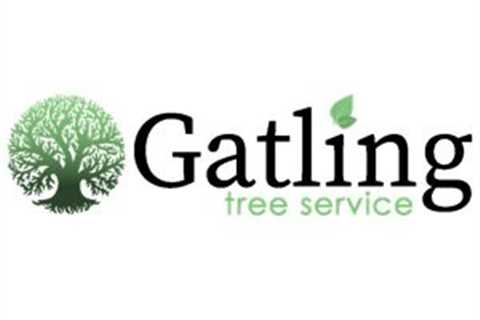 TreeCareHQ Welcomes Gatling Tree Service Culpeper To Its Network Of Tree Professionals