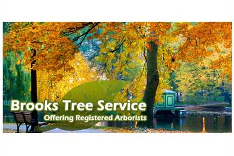 TreeCareHQ Highlights Brooks Tree Service On Tree Service Company Directory