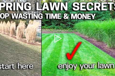 HOW I JUMPSTART MY LAWN IN SPRING - REVEALED!
