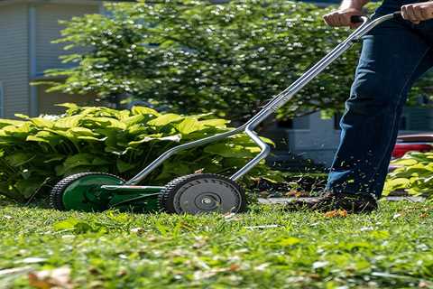 10 Best Lawn Mowers for Small Yards