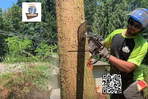 Genesis Tree Service Leesburg