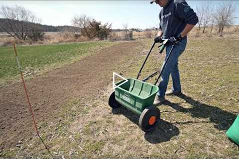 Planting Grass Seed I Said I'd NEVER Plant