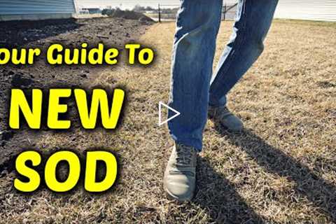 Caring For NEW SOD?? Don't Miss These Tips and Tricks