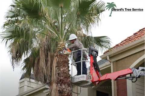 Gerard's Tree Service