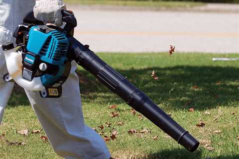 9 Best Gas Leaf Blowers