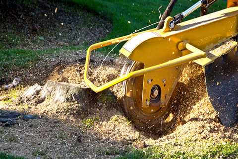 Who does stump grinding near me?