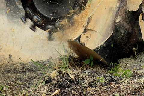 What is a fair price for stump grinding?