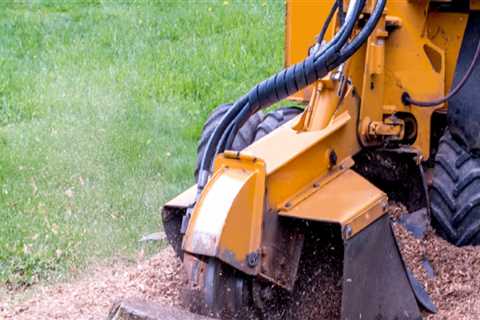 What does grinding stump mean?