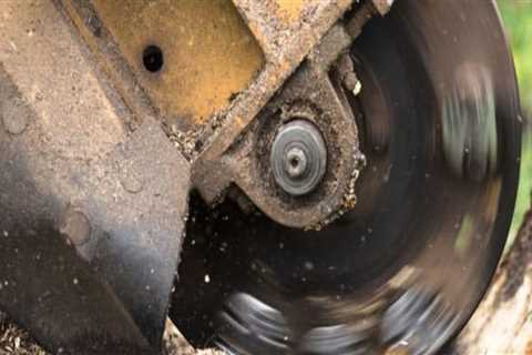 What does stump grinding do?