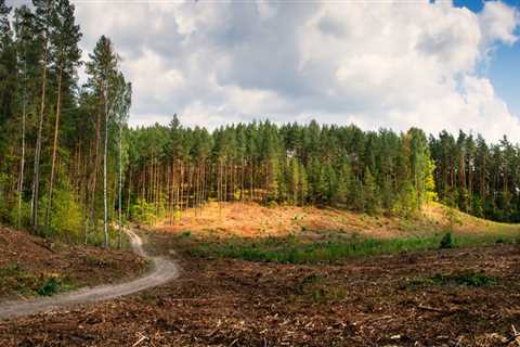 How to reduce land clearing?