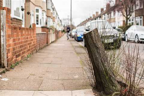 Which trees can be cut down without permission uk?