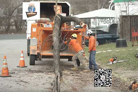 Genesis Tree Service Ashburn