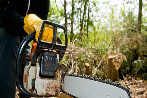 Why is tree removal important?