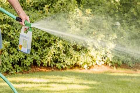 What is the best lawn bug killer?