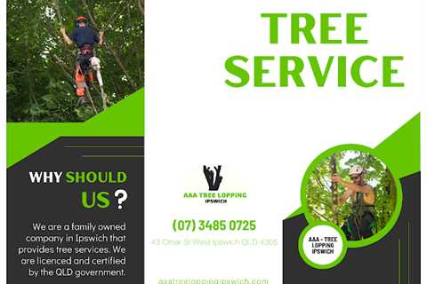 Tree Lopping Company Offers Services in Kenmore QLD