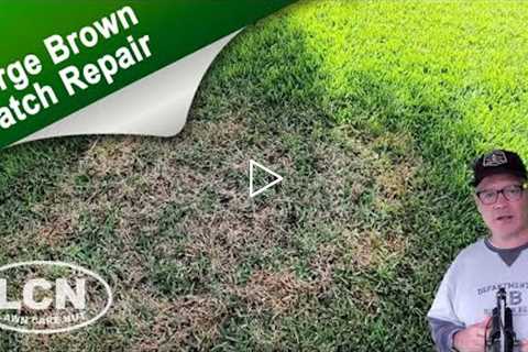 How To Fix Brown Patch & Large Patch In St Augustine, Zoysia and Tall Fescue with The Lawn Care ..