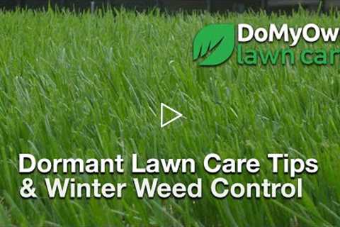 What about my Lawn During the Winter? - Dormant Lawn Care Tips | DoMyOwn.com