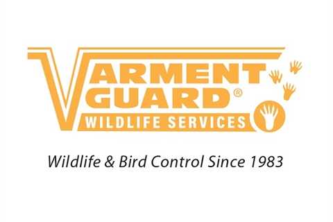 Varment Guard Wildlife Services