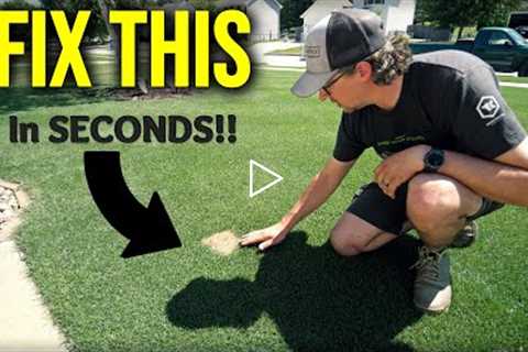 EASY FIX For Dead Spots In The Lawn