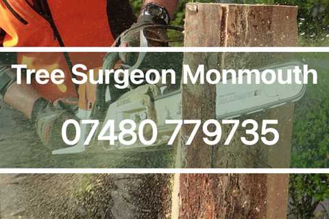 Tree Surgeon Llanbadoc