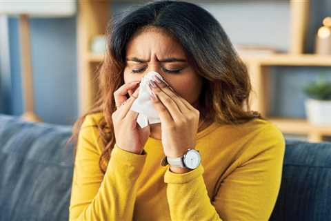 What to Know About Indoor Allergens