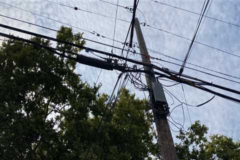 Who pays for tree trimming around power lines?