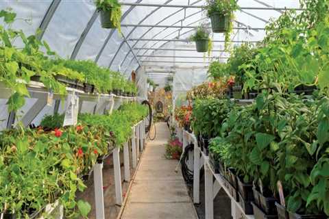 Is horticulture the study of plants?