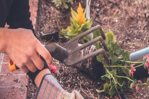 What are professional gardeners called?