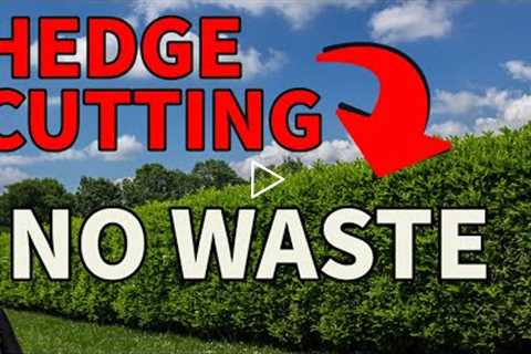 This one trick will save you a lot of time trimming hedges