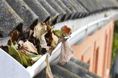 What happens if you dont clean out your gutters?