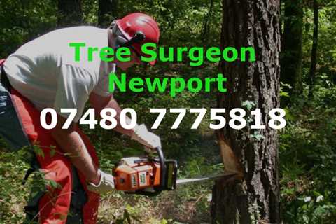Tree Surgeon Dowlais