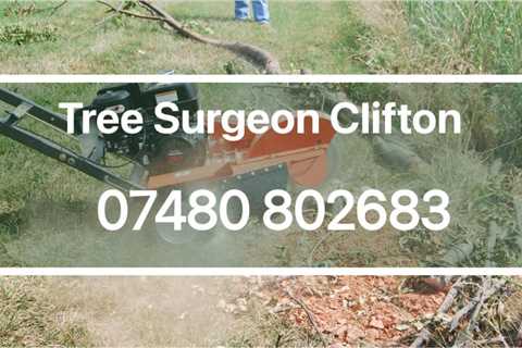 Tree Surgeon Abbots Leigh