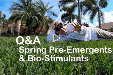 Spring Lawn FAQs: Pre-Emergents and Bio-Stimulants