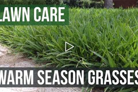 Warm Season Grasses: A Lawn Care Guide