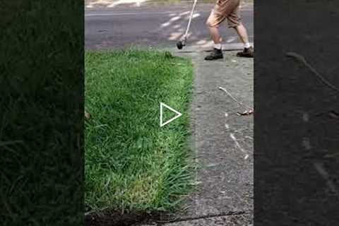 Aiming for the straightest edges on YouTube. #youtube #youtubeshorts #lawncare #subscribe #house