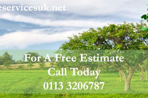 Tree Surgeons in Garforth Commercial & Residential Tree Removal Services