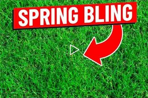 Spring Lawn Care Tips for Bermuda Grass