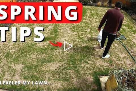 May Lawn Care Tips - Spring Grass Seeds Germinated?
