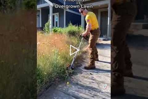 OVERGROWN LAWN MOWING - Oddly Satisfying Lawn Care Business #shorts