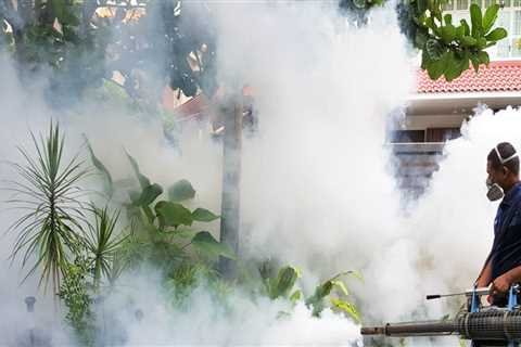 Are pest control fumes harmful?