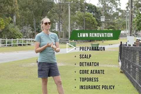 Lawn Renovation Guide // How to Plan Your Spring Reno