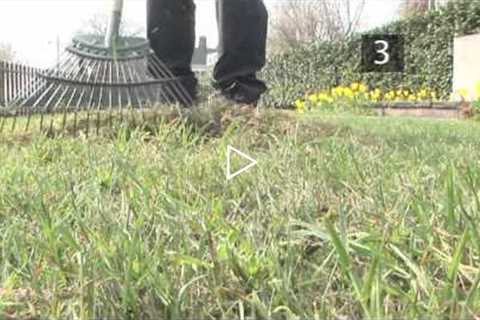 How To Care For Your Lawn In Spring - Spring Lawn Care Tips | Garden Ideas & Tips | Homebase