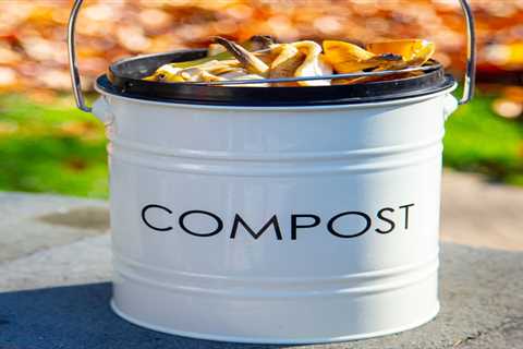 What To Compost From Your Garden