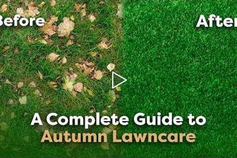 5 Jobs to Do in Autumn for a Lush Lawn (Lawn Care Guide)