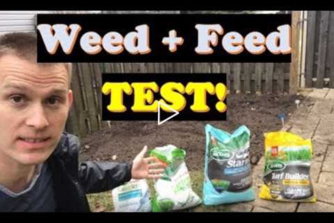 Weed and Feed Before and After PROOF!  |  Best Time to Overseed (LAWN CARE)