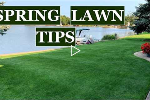 Don't make these 3 MISTAKES // Spring lawn care