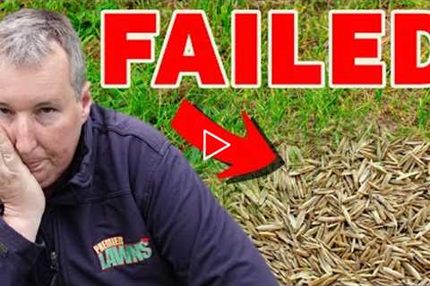 The BIGGEST mistake you can make overseeding your lawn
