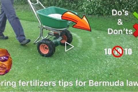 Spring Fertilizers tips for Bermuda Lawns