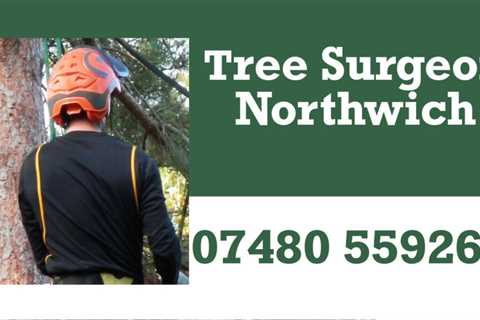 Tree Surgeon Antrobus